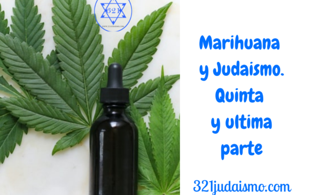 Marihuana y Judaismo